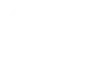 Toyota Logo